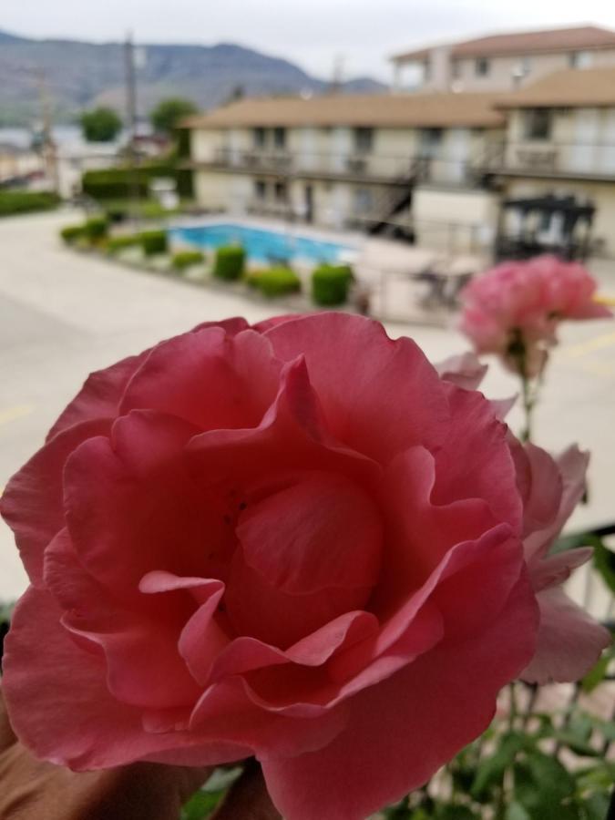 Osoyoos Lakeview Inn & Suites Екстериор снимка